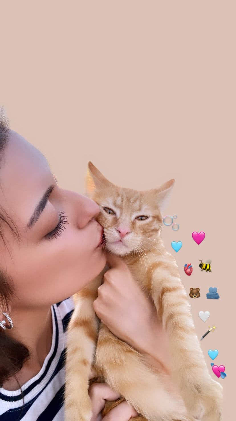 KEDİLERİN İYİLEŞTİRİCİ GÜCÜ